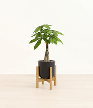 Load image into Gallery viewer, Stone Black stand:bamboo