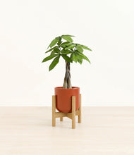 Load image into Gallery viewer, Glossy Red stand:bamboo