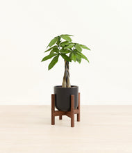 Load image into Gallery viewer, Stone Black stand:walnut