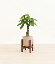 Load image into Gallery viewer, Sandy Pink stand:walnut