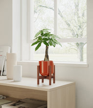 Load image into Gallery viewer, Glossy Red stand:walnut
