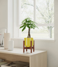 Load image into Gallery viewer, Key Lime Yellow stand:walnut