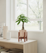 Load image into Gallery viewer, Sandy Pink stand:walnut