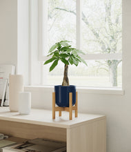 Load image into Gallery viewer, Reactive Aqua stand:bamboo