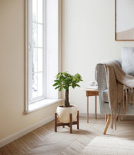 Load image into Gallery viewer, Shiny EggWhite stand:walnut