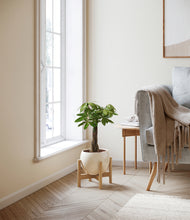 Load image into Gallery viewer, Shiny EggWhite stand:bamboo