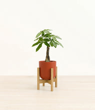 Load image into Gallery viewer, Earth Red stand:bamboo