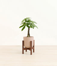 Load image into Gallery viewer, Sandy Pink stand:walnut
