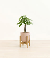 Load image into Gallery viewer, Sandy Pink stand:bamboo