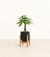 Load image into Gallery viewer, Stone Black stand:bamboo