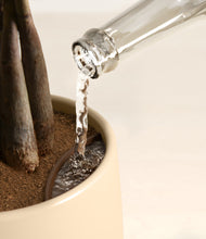 Load image into Gallery viewer, Misty Morning stand:all