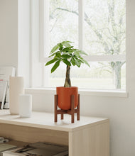 Load image into Gallery viewer, Earth Red stand:walnut