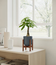 Load image into Gallery viewer, Iron Gray stand:walnut