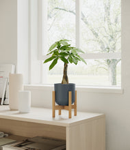 Load image into Gallery viewer, Iron Gray stand:bamboo