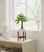 Load image into Gallery viewer, Natural Bamboo stand:walnut