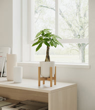 Load image into Gallery viewer, Natural Bamboo stand:bamboo