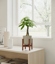 Load image into Gallery viewer, Sage Green stand:walnut