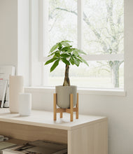 Load image into Gallery viewer, Sage Green stand:bamboo