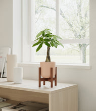 Load image into Gallery viewer, Sandy Pink stand:walnut