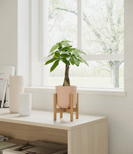 Load image into Gallery viewer, Sandy Pink stand:bamboo