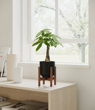Load image into Gallery viewer, Stone Black stand:walnut