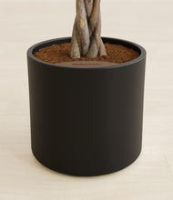 Load image into Gallery viewer, Black stand:all