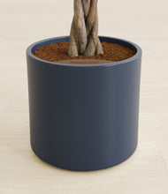 Load image into Gallery viewer, Deep Navy stand:all