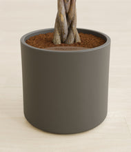 Load image into Gallery viewer, Dark Olive stand:all