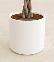 Load image into Gallery viewer, White stand:all