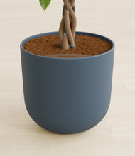 Load image into Gallery viewer, Iron Gray stand:all