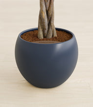 Load image into Gallery viewer, Deep Navy stand:all