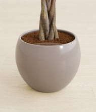 Load image into Gallery viewer, Winter Clouds stand:all