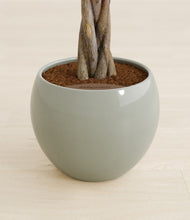 Load image into Gallery viewer, Deep Ocean stand:all