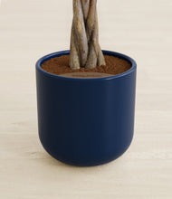 Load image into Gallery viewer, Twilight Blue stand:all