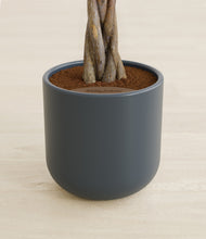 Load image into Gallery viewer, Iron Gray stand:all