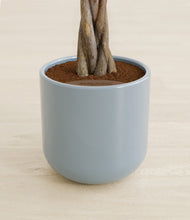 Load image into Gallery viewer, Misty Blue stand:all