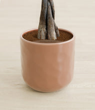 Load image into Gallery viewer, Hammered Peach Pink stand:all