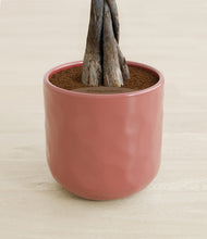 Load image into Gallery viewer, Hammered Rose Pink stand:all