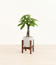 Load image into Gallery viewer, Hammered Ivory stand:walnut