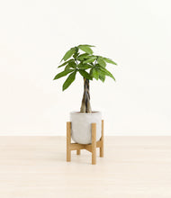 Load image into Gallery viewer, Hammered Ivory stand:bamboo
