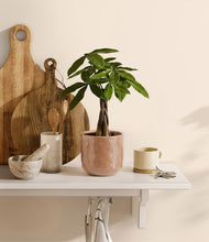 Load image into Gallery viewer, Hammered Peach Pink