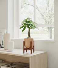 Load image into Gallery viewer, Striped Peach Pink stand:walnut