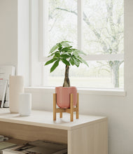 Load image into Gallery viewer, Striped Rose Pink stand:bamboo