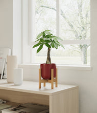 Load image into Gallery viewer, Striped Cherry Red stand:bamboo