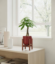 Load image into Gallery viewer, Striped Cherry Red stand:walnut