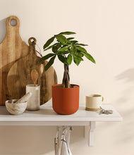 Load image into Gallery viewer, Earth Red