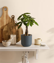 Load image into Gallery viewer, Iron Gray