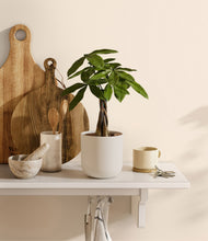 Load image into Gallery viewer, Natural Bamboo