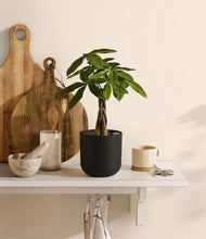 Load image into Gallery viewer, Stone Black