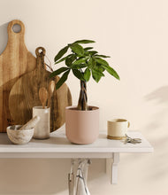 Load image into Gallery viewer, Sandy Pink